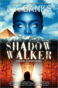 Shadow Walker (Neteru Academy Series #1)