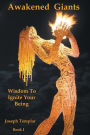 Awakened Giants: Wisdom to Ignite Your Being: Book One