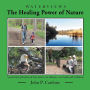The Healing Power of Nature: A practical exploration of how nature can influence our health and well-being