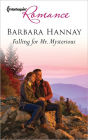 Falling for Mr. Mysterious