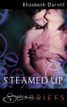 Alternative view 2 of Steamed Up