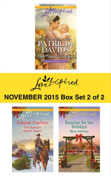 Love Inspired November 2015 - Box Set 2 of 2: An Anthology