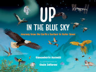 Title: Up in the Blue Sky: Journey from the Earth's Surface to Outer Space, Author: Gianumberto Accinelli