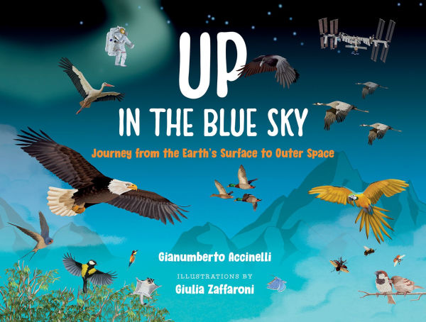 Up in the Blue Sky: Journey from the Earth's Surface to Outer Space