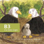 B3 the Baby Eagle: Based on a True Story