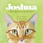 Joshua The Rescue Kitty