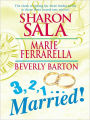 3, 2, 1...Married!: An Anthology