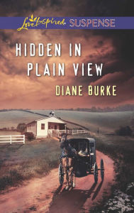 Title: Hidden in Plain View, Author: Diane Burke