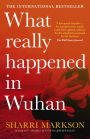 What Really Happened In Wuhan: A Virus Like No Other, Countless Infections, Millions of Deaths