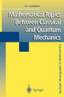 Mathematical Topics Between Classical and Quantum Mechanics