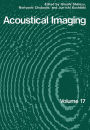 Acoustical Imaging