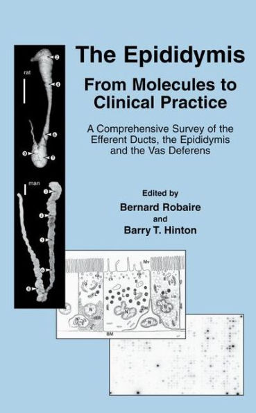 The Epididymis: From Molecules to Clinical Practice: A Comprehensive Survey of the Efferent Ducts, the Epididymis and the Vas Deferens / Edition 1