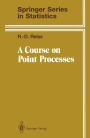A Course on Point Processes / Edition 1