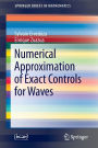 Numerical Approximation of Exact Controls for Waves
