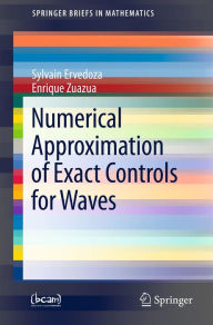 Title: Numerical Approximation of Exact Controls for Waves, Author: Sylvain Ervedoza