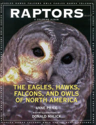 Title: Raptors: The Eagles, Hawks, Falcons, and Owls of North America, Author: Anne Price