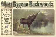 Title: Bygone Backwoods, Author: Earl Brechlin