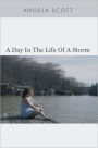 A Day In The Life Of A Storm