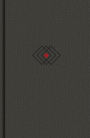 Summary Bible, KJV Edition, Charcoal Cloth Over Board