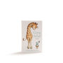 CSB Great and Small Bible (boxed): A Keepsake Bible for Babies