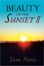 Beauty Of The Sunset Ii