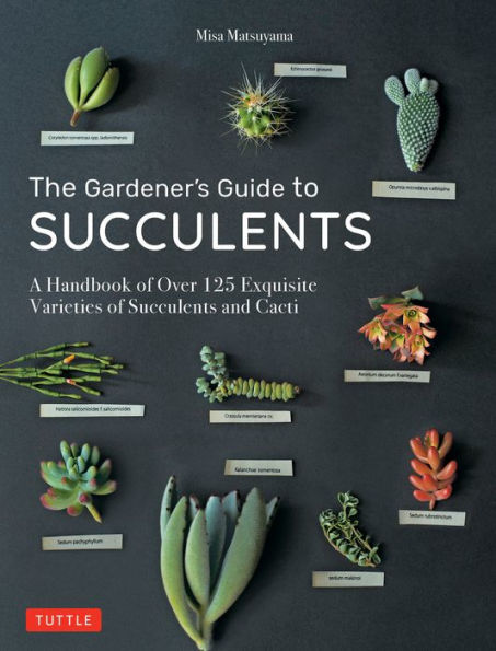 Gardener's Guide to Succulents: A Handbook of Over 125 Exquisite Varieties of Succulents and Cacti