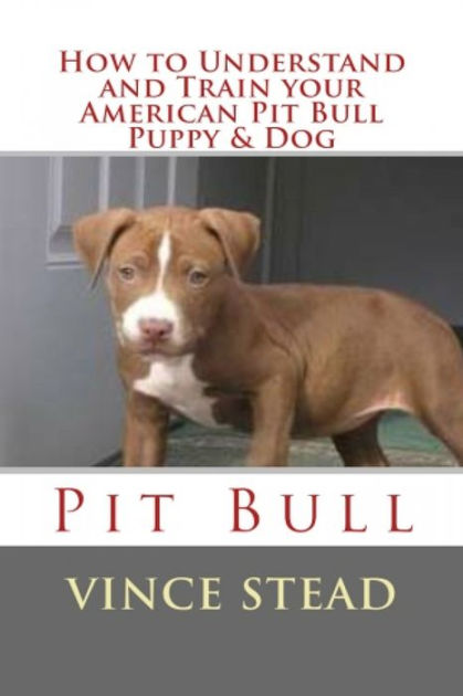 how to train a pitbull terrier