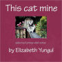 This Cat Mine