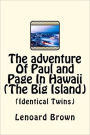 The Adventure Of Paul and Page In Hawaii (The Big Island): (Identical Twins)