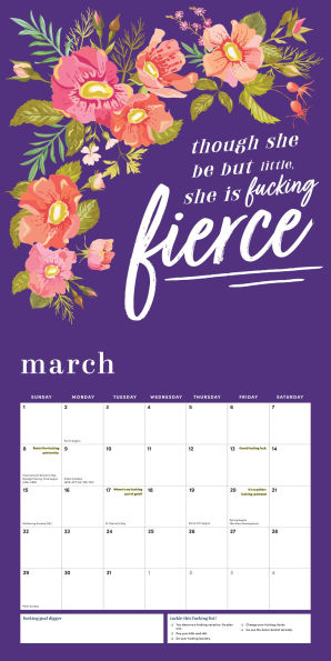 2026 She Believed She Could So She F*cking Did Wall Calendar
