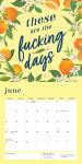 Alternative view 6 of 2026 She Believed She Could So She F*cking Did Wall Calendar
