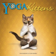 2014 Yoga Kittens Mini 7x7 Calendar