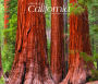 2019 California Wild & Scenic Deluxe Wall Calendar