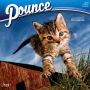 2018 Pounce 2018 Square