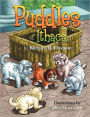 Puddles Of Ithaca