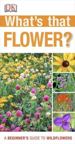 What's that Flower?: A Beginner's Guide to Wildflowers