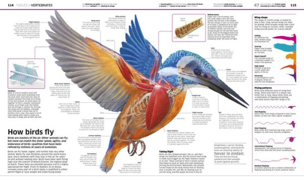 Knowledge Encyclopedia (Updated and Enlarged Edition): The World as You've Never Seen It Before