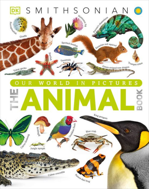 The Animal Book: A Visual Encyclopedia of Life on Earth|Hardcover