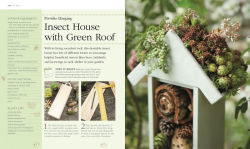 Alternative view 4 of Small Space Garden Ideas