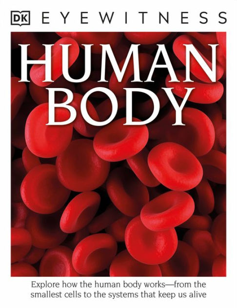 Eyewitness Human Body Explore How the Human Body Works from the