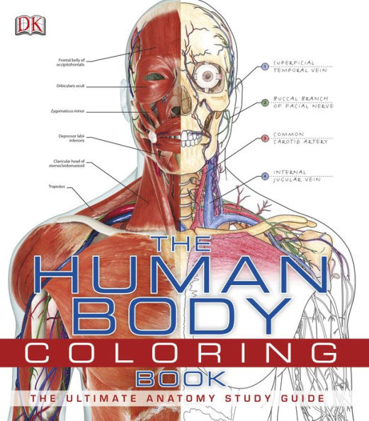 Human Anatomy Boxed Set