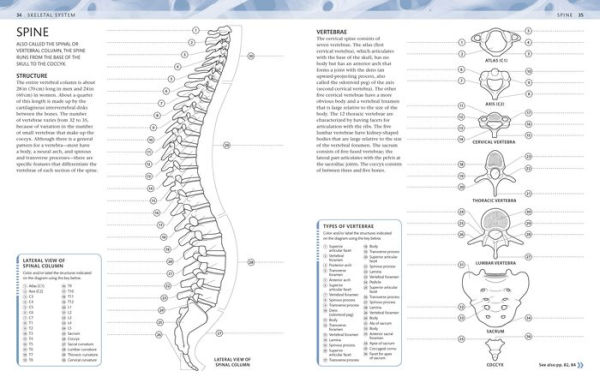 Human Anatomy Boxed Set