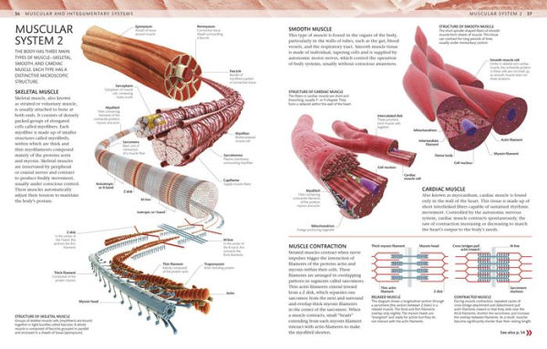 Human Anatomy Boxed Set