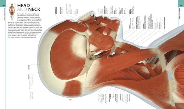 Human Anatomy Boxed Set