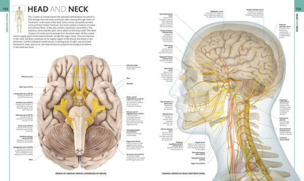 Human Anatomy Boxed Set