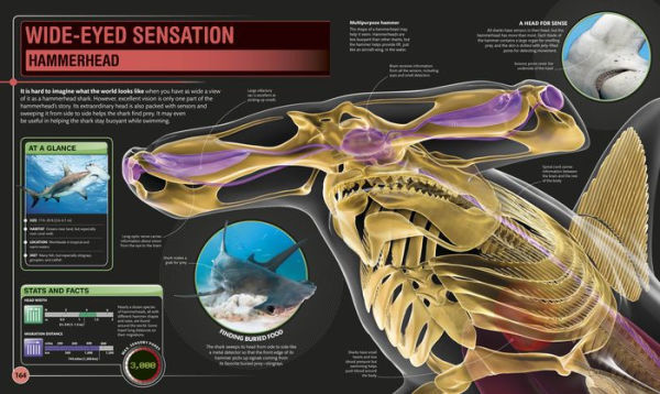 Super Shark Encyclopedia: And Other Creatures of the Deep