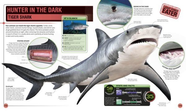 Super Shark Encyclopedia: And Other Creatures of the Deep