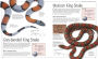 Alternative view 4 of Snake: The Essential Visual Guide