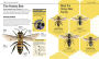Alternative view 3 of The Bee Book: Discover the Wonder of Bees and How to Protect Them for Generations to Come