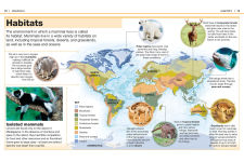 Alternative view 2 of Pocket Genius: Mammals: Facts at Your Fingertips